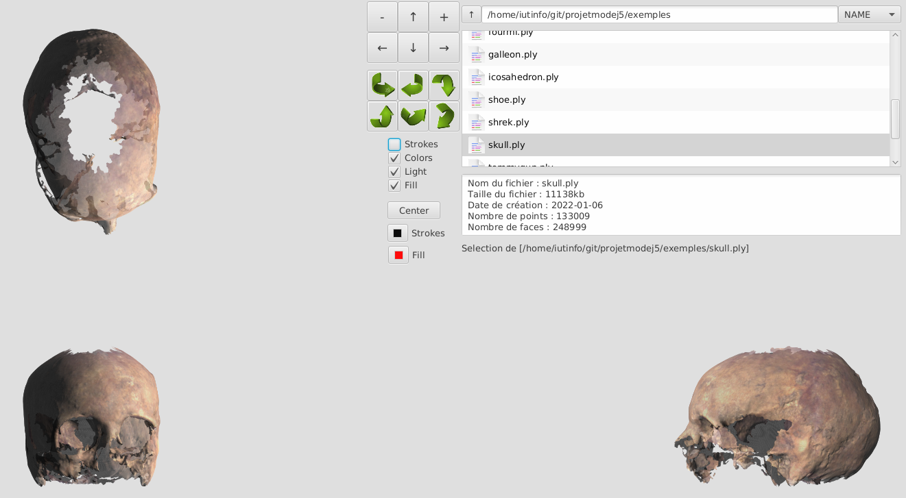 Interface du visualisateur affichant un crâne en trois dimensions et ses contrôles